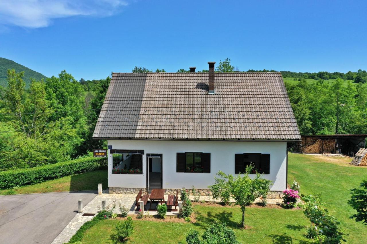 Apartment Mladen