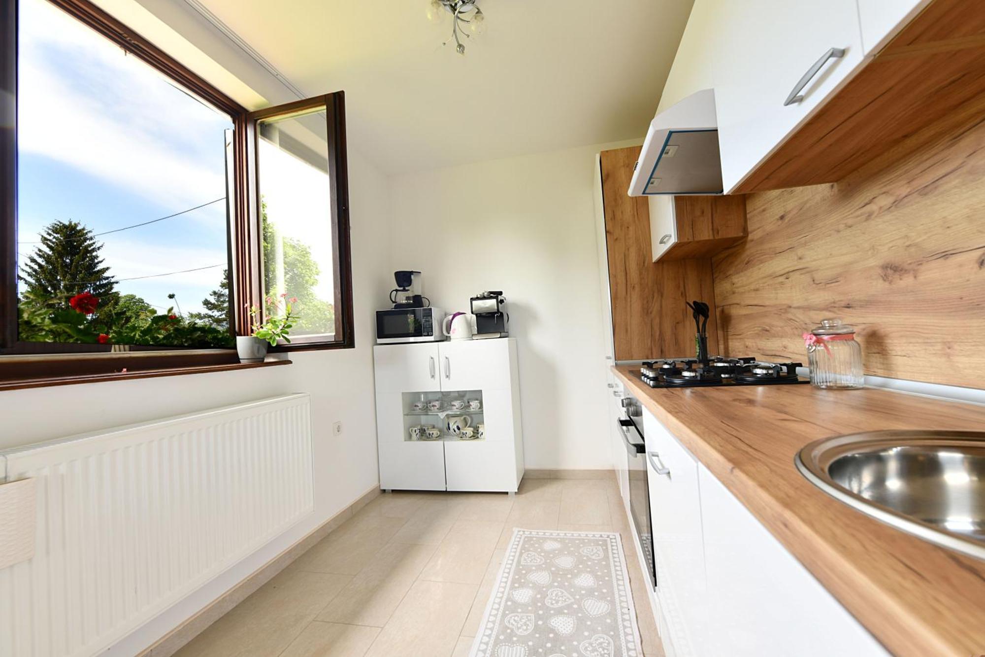Apartment Mladen *